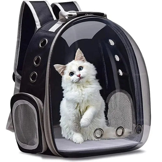 Transparent -Pet -Bubble -Backpack.jpg